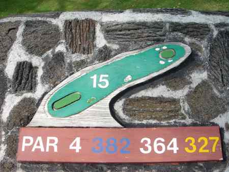 �R�i�J���g���[�N���u �I�[�V�����R�[�X 2006