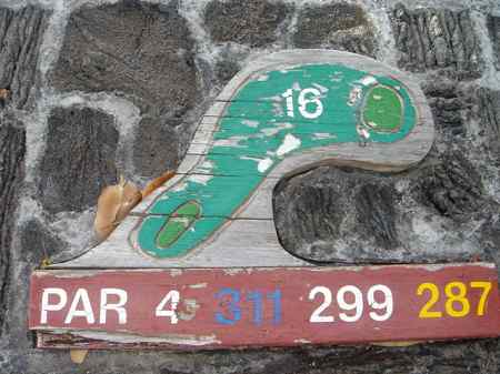 �R�i�J���g���[�N���u �I�[�V�����R�[�X 2006