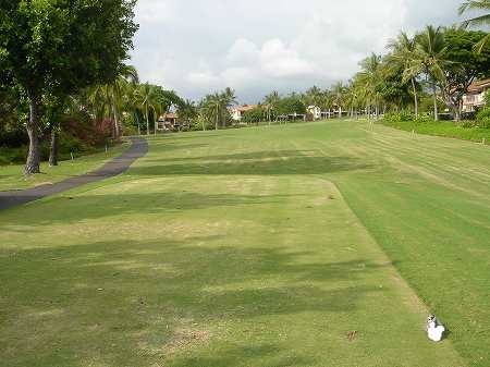 �R�i�J���g���[�N���u �I�[�V�����R�[�X 2006