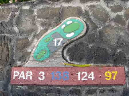 �R�i�J���g���[�N���u �I�[�V�����R�[�X 2006