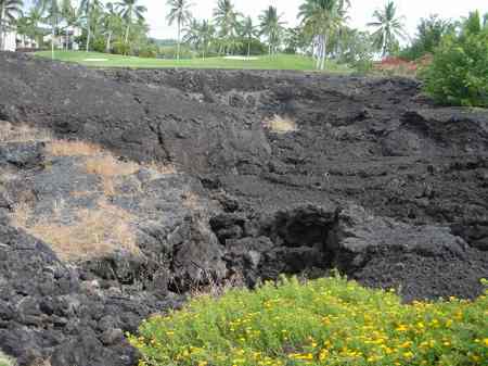 �R�i�J���g���[�N���u �I�[�V�����R�[�X 2006