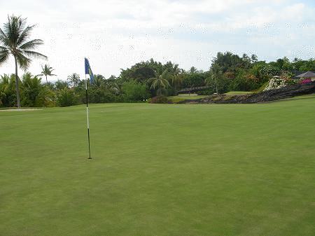 �R�i�J���g���[�N���u �I�[�V�����R�[�X 2006