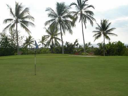 �R�i�J���g���[�N���u �I�[�V�����R�[�X 2006