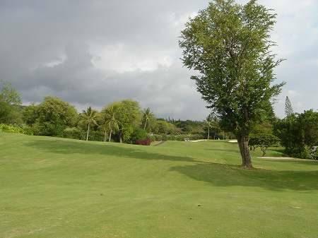 �R�i�J���g���[�N���u �I�[�V�����R�[�X 2006