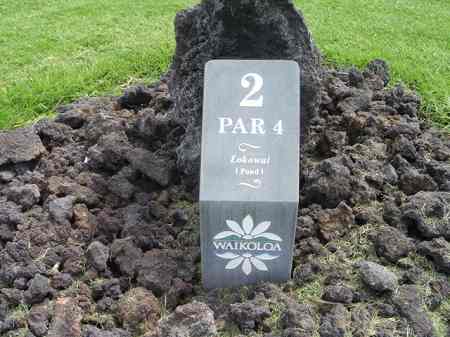 ���C�R���A�r�[�`2004