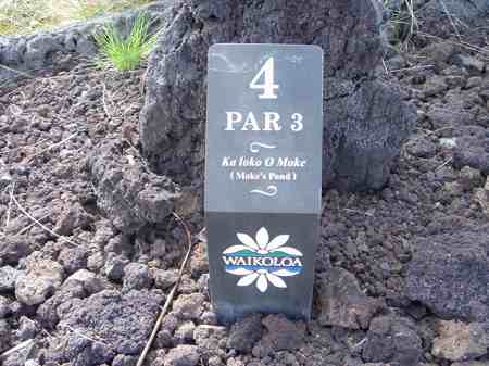 ���C�R���A�r�[�`2004