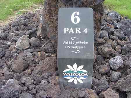 ���C�R���A�r�[�`2004