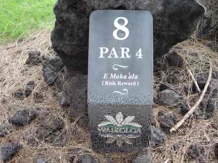 ���C�R���A�r�[�`2004