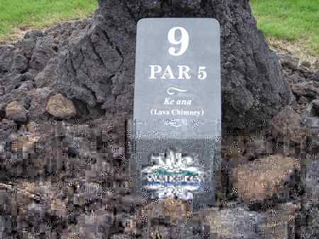 ���C�R���A�r�[�`2004