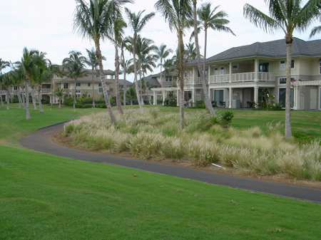 ���C�R���A�r�[�`2004