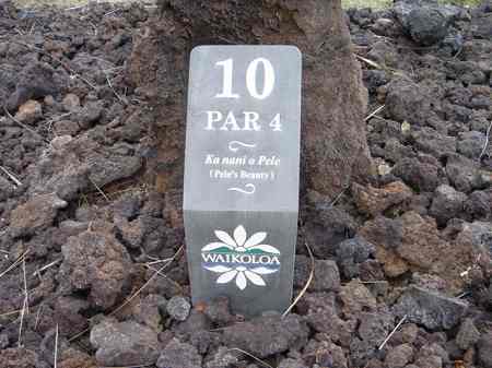 ���C�R���A�r�[�`2004