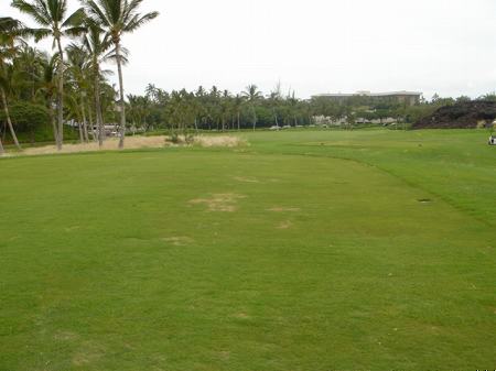 ���C�R���A�r�[�`2004