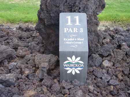 ���C�R���A�r�[�`2004