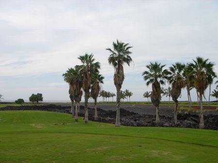 ���C�R���A�r�[�`2004