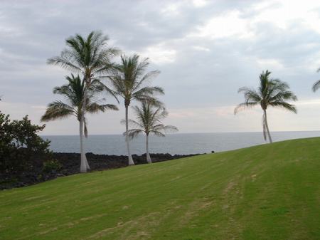 ���C�R���A�r�[�`2004