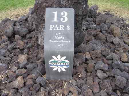 ���C�R���A�r�[�`2004