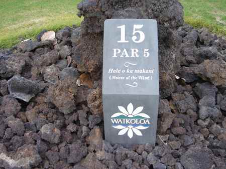 ���C�R���A�r�[�`2004