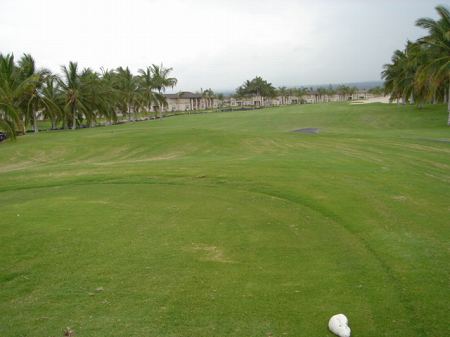 ���C�R���A�r�[�`2004