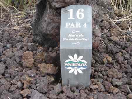 ���C�R���A�r�[�`2004