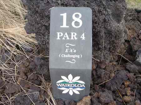 ���C�R���A�r�[�`2004