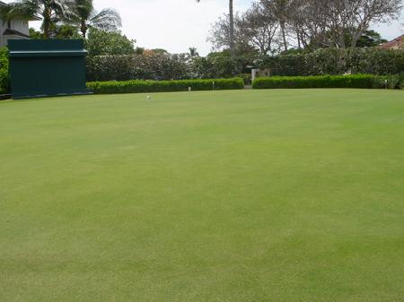 ���C�R���A�r�[�`2004