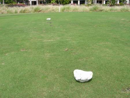 ���C�R���A�r�[�`2004