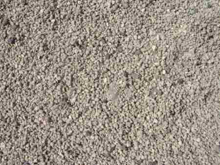 ���C�R���A�r�[�`2004