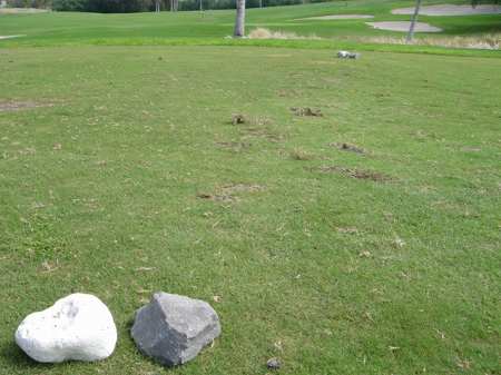 ���C�R���A�r�[�`2004