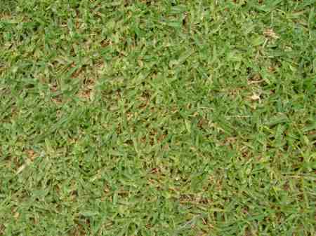 ���C�R���A�r�[�`2004