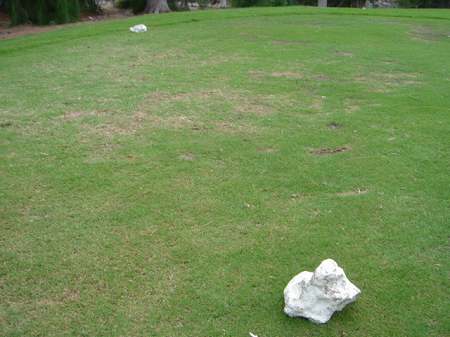 ���C�R���A�r�[�`2004