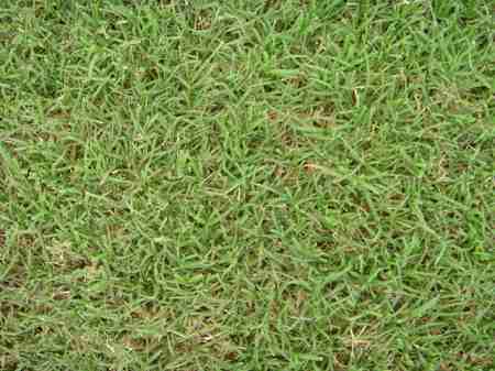 ���C�R���A�r�[�`2004