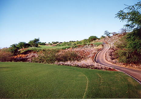 manele1hole